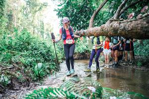 BIB: 
                            <button type="button" onclick="openModal(25475417)" class="btn btn-primary btn-sm float-right btn-popup" data-toggle="modal" data-target=".modal-high-quality">
                        <i class="fas fa-shopping-cart"></i> Add to Cart
                    </button>
                                            <button type="button" onclick="isThisMe(25475417, true)" class="btn btn-success btn-sm float-right btn-popup btn-isme hidden" data-toggle="tooltip" data-placement="bottom" title="นี่คือรูปของคุณใช่ไหม คลิกที่นี่เพื่อเอาเข้าอัลบั้ม">
                        <i class="fas fa-plus"></i> Add to album
                    </button>
                    <button type="button" onclick="isThisMe(25475417, false)" class="btn btn-warning btn-sm float-right btn-popup btn-isnotme hidden">
                        <i class="fas fa-ban"></i> Remove from album
                    </button>